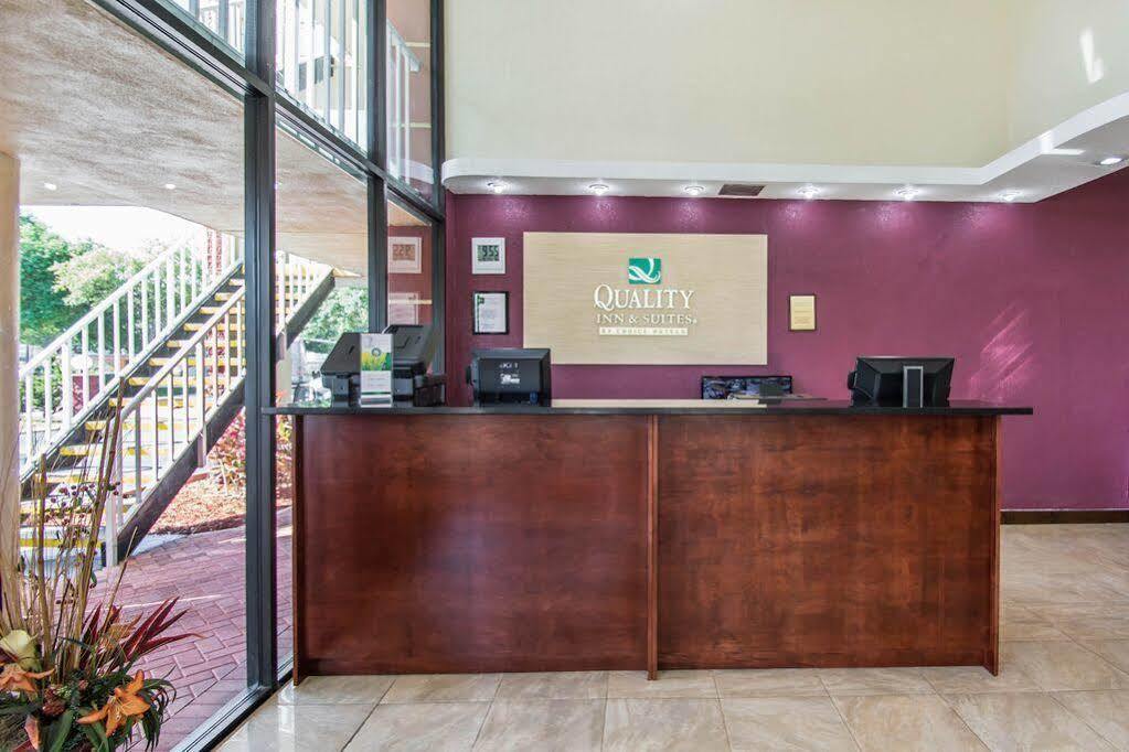 Quality Inn & Suites At Tropicana Field St. Petersburg Eksteriør bilde